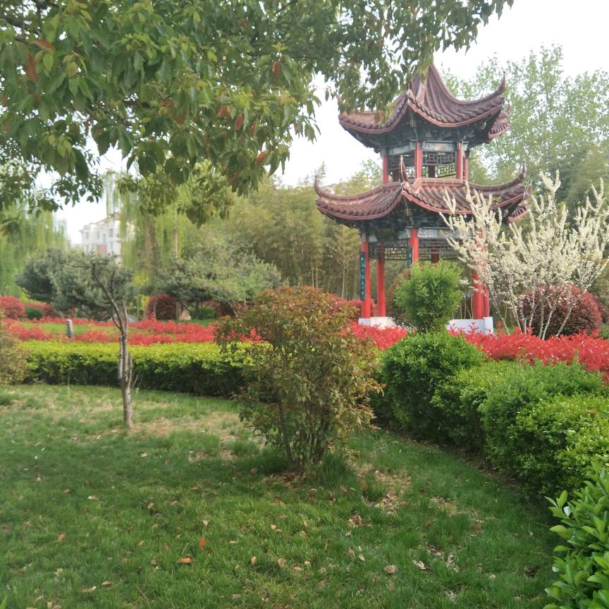 大牛不是牛