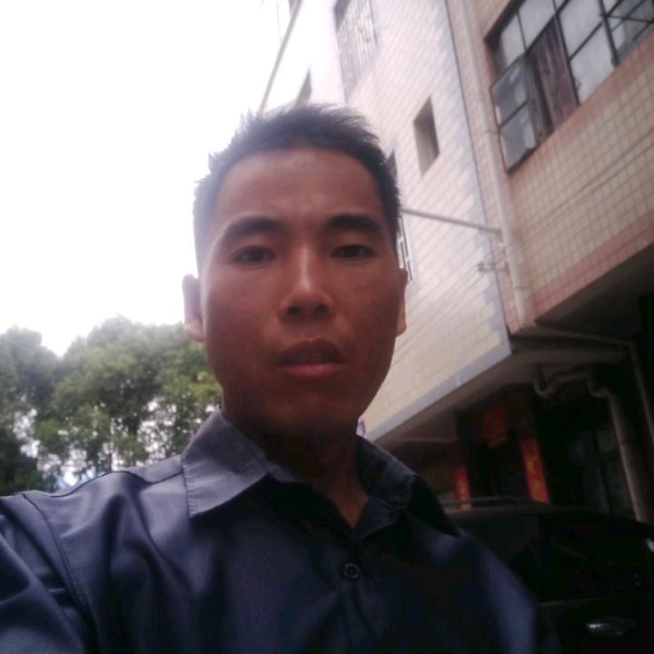 清风月影