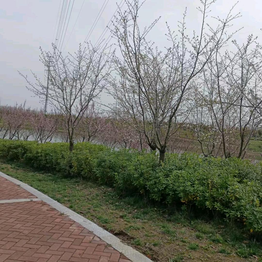 心若在，梦就在，