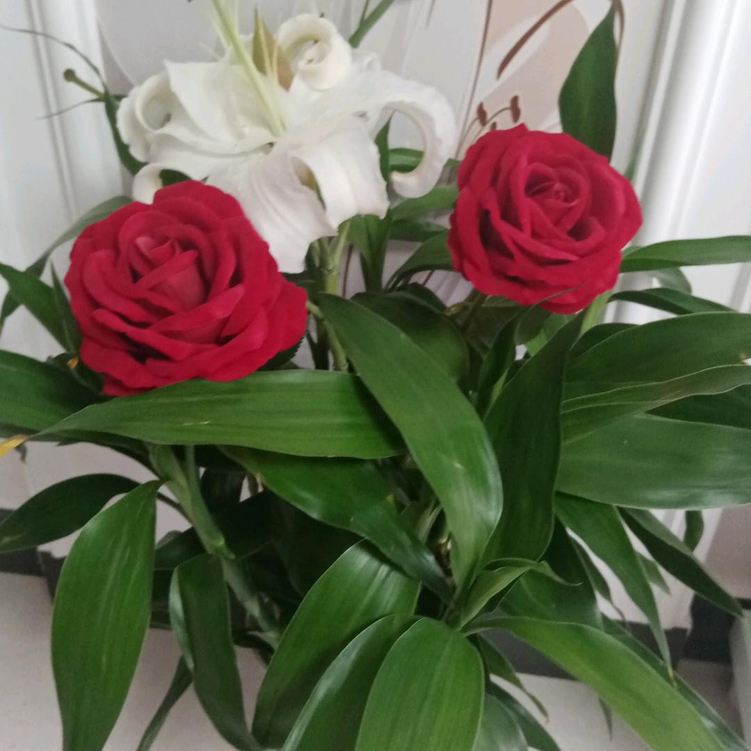 开心每一天ヽ(○^㉨^)ﾉ♪