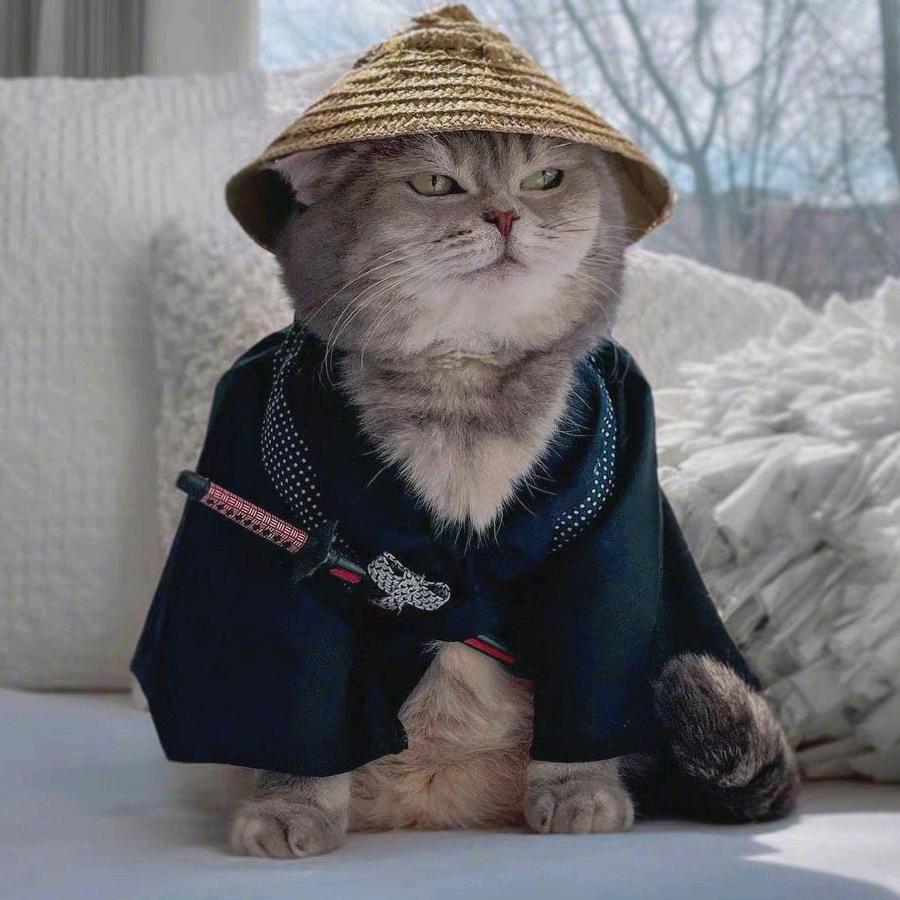 小友