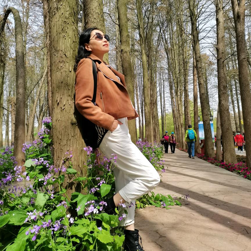 用户山东国旅🌸苏🌸