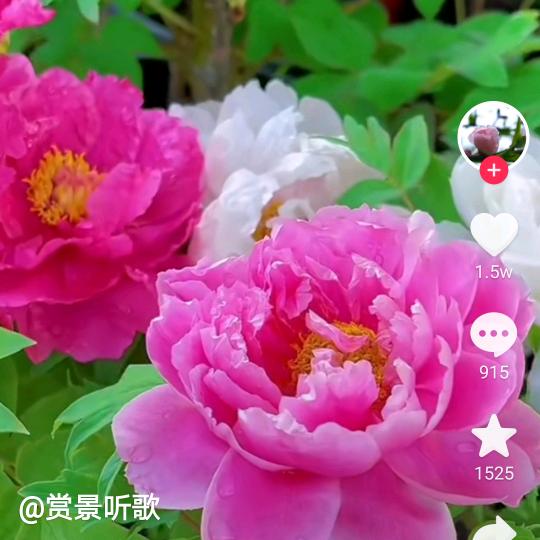 阳光普照