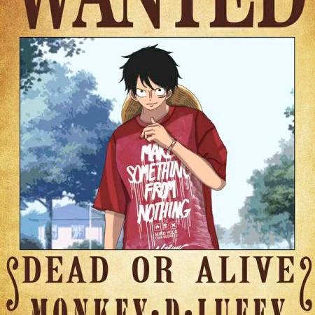 璐誹