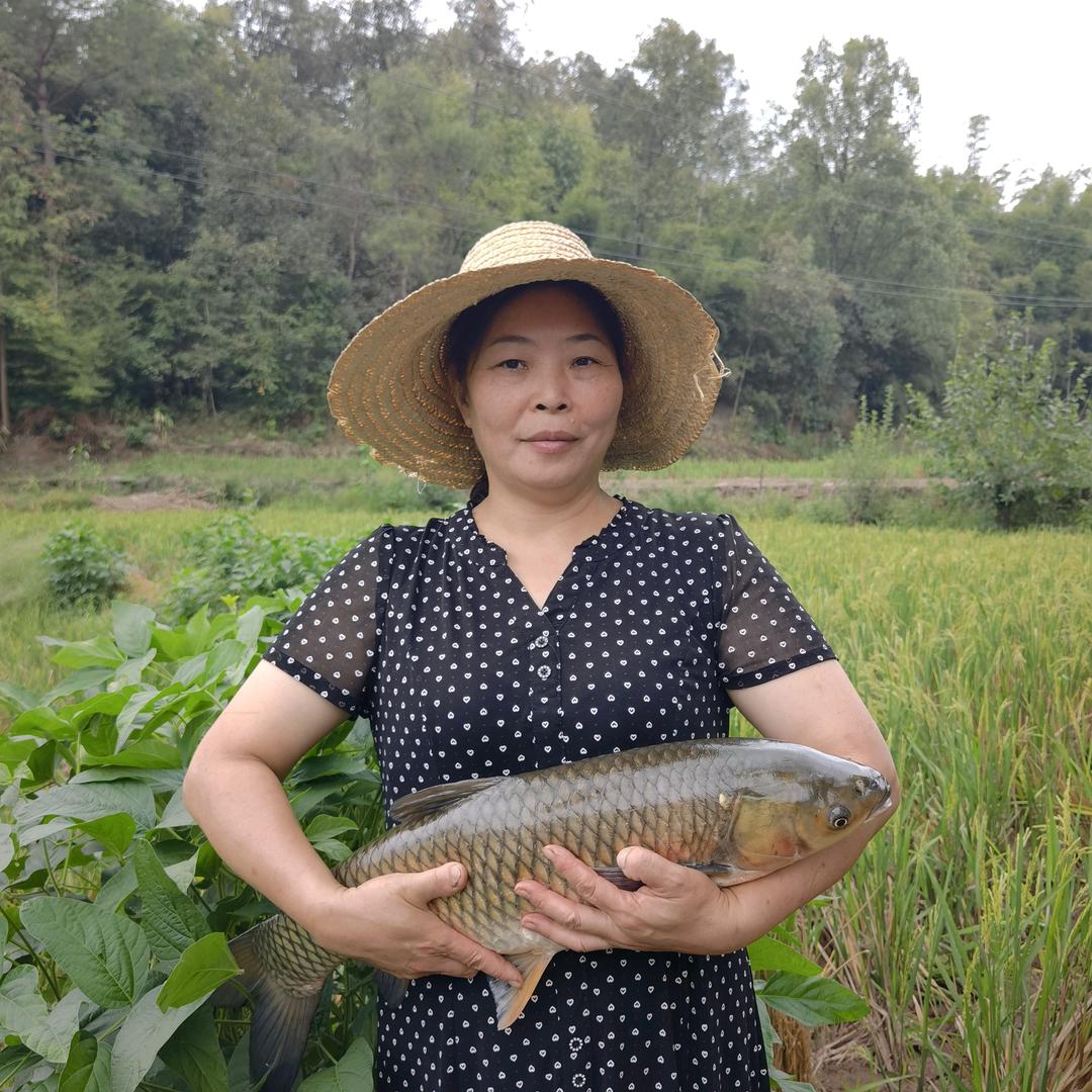 御姐蜀泸优选