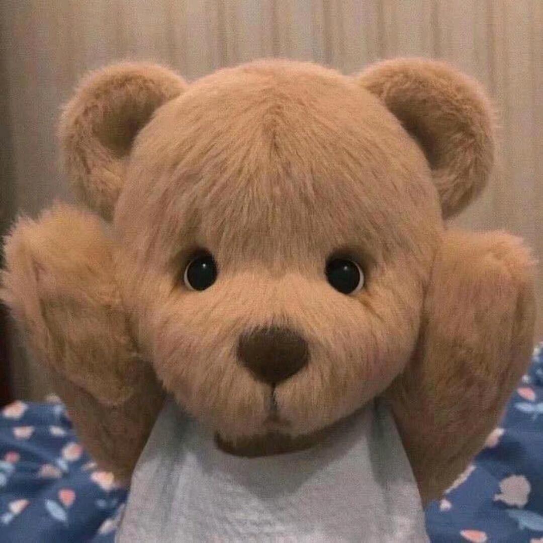 派派派派派