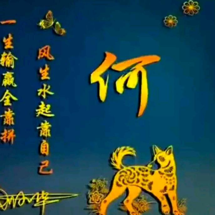 一场游戏一场梦Ծ‸Ծ