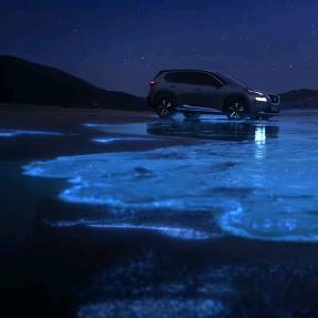 《向前“💰”出发》