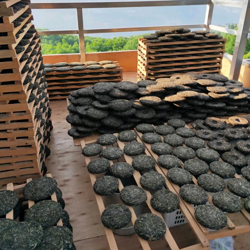 千家寨茶缘永顺茶叶初制所