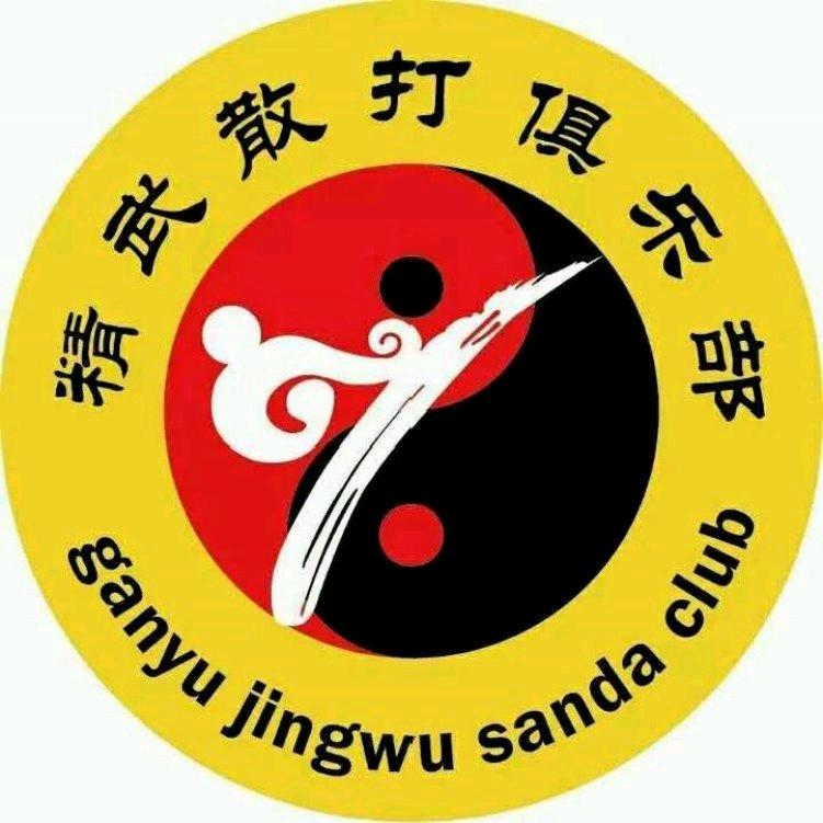 精武散打