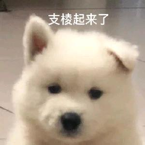 云姐快餐（宿羊山镇）