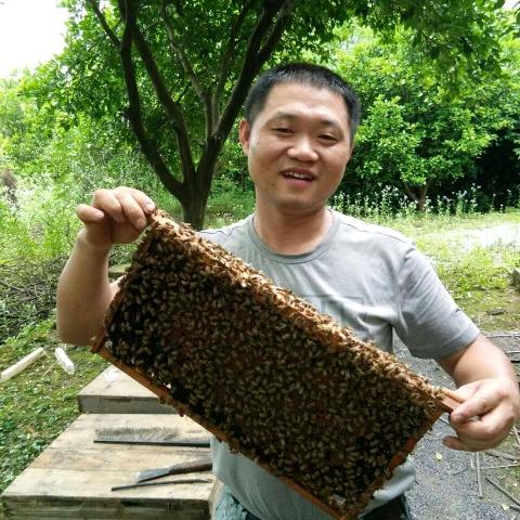 祁阳市黎家坪养蜂人