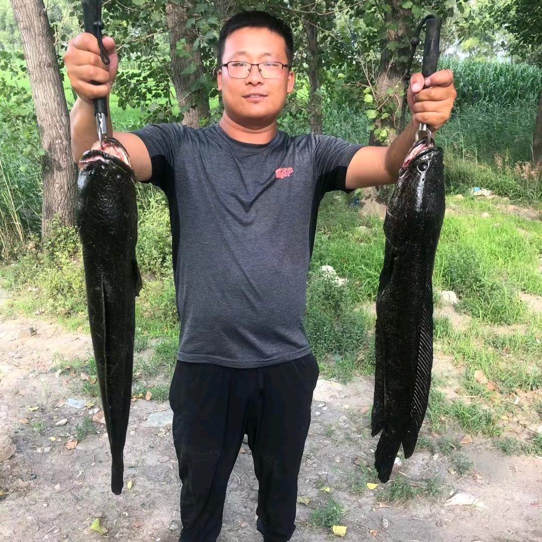 Gs  猎黑………路亚雷强