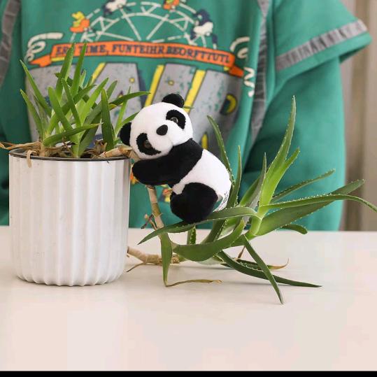 水中月，镜中花