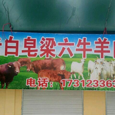 歌手🔥牛肉哥！