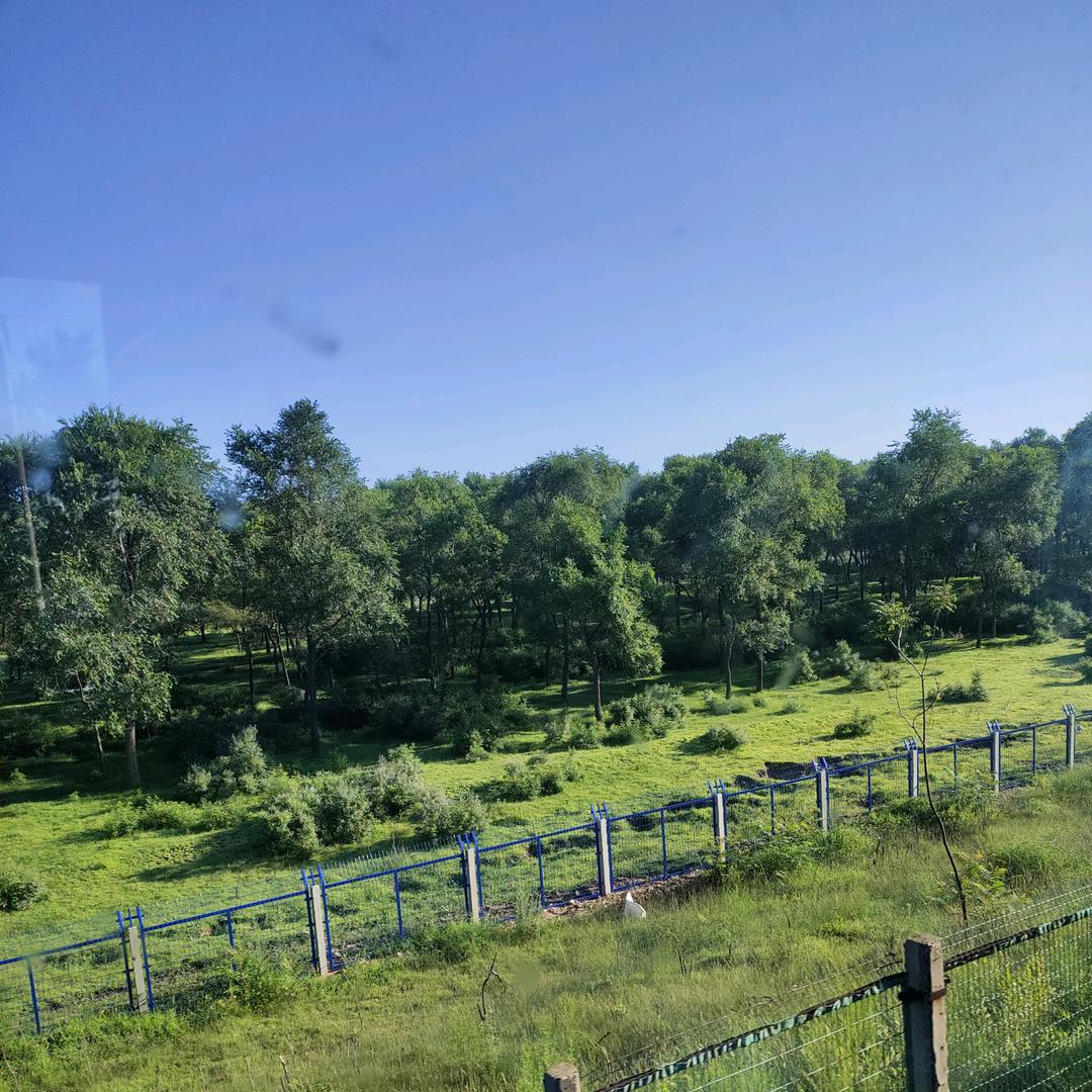 分开旅行