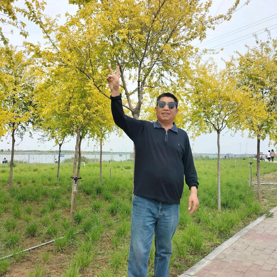 江湖游侠