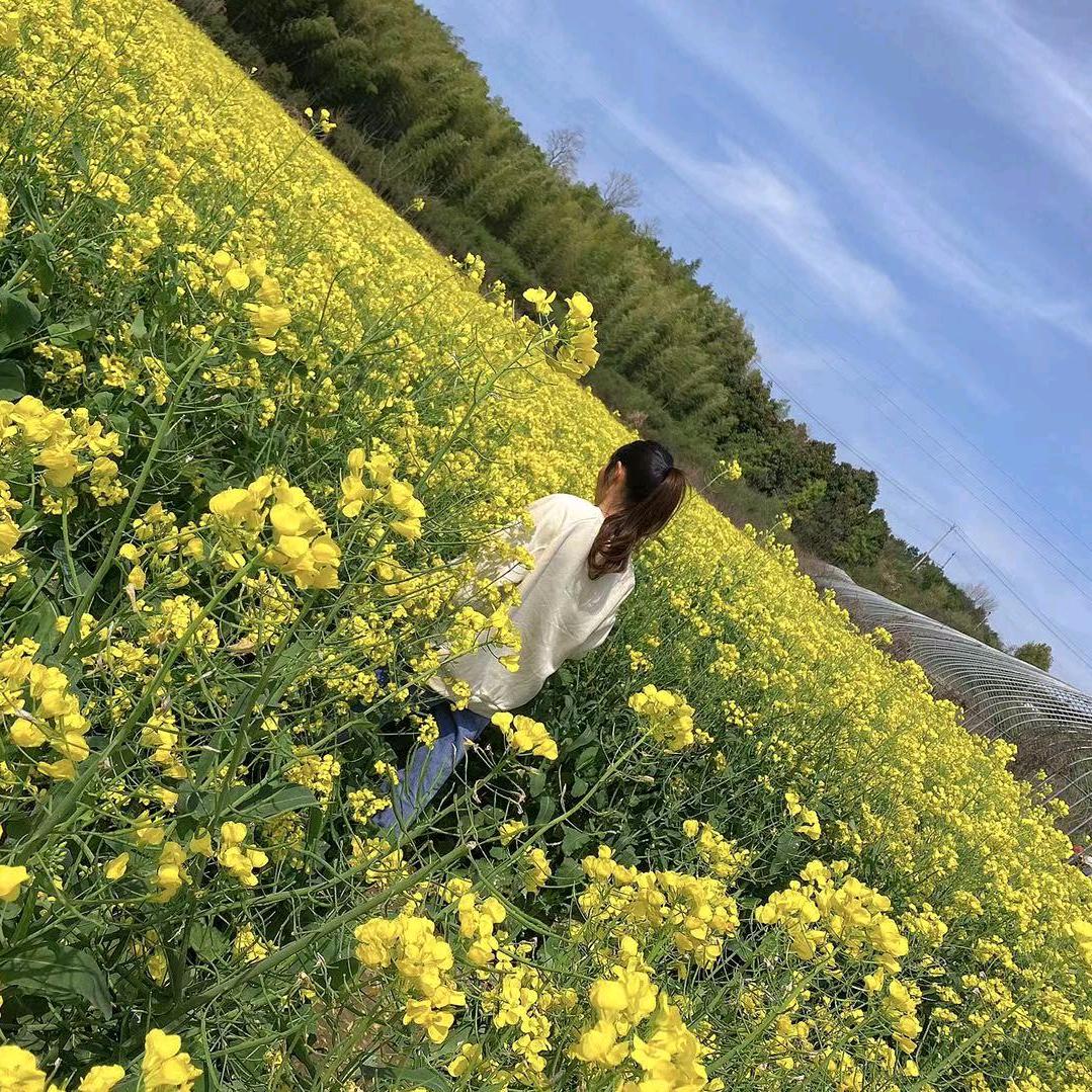 执