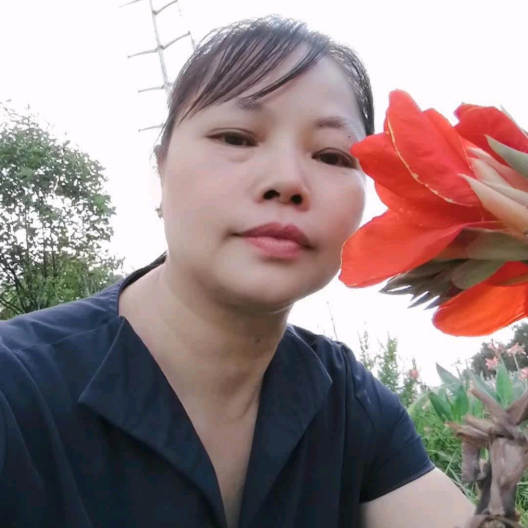 诸事皆宜