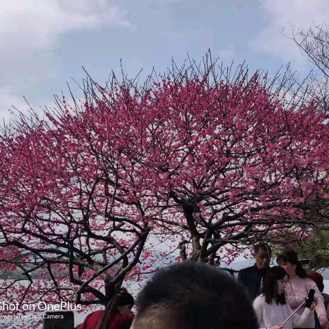 嗯😊明天的阳光更灿烂