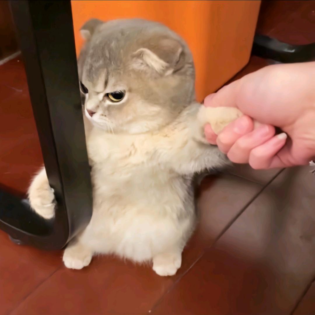 此间再难心动