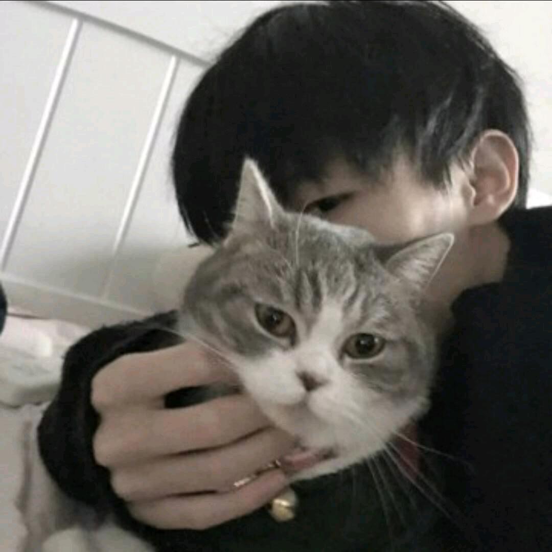 林卿