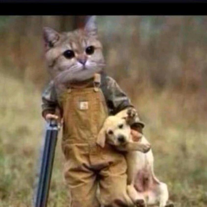 捉又犯贱的云野鸡