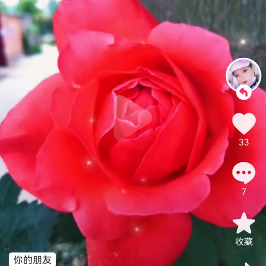 小魏