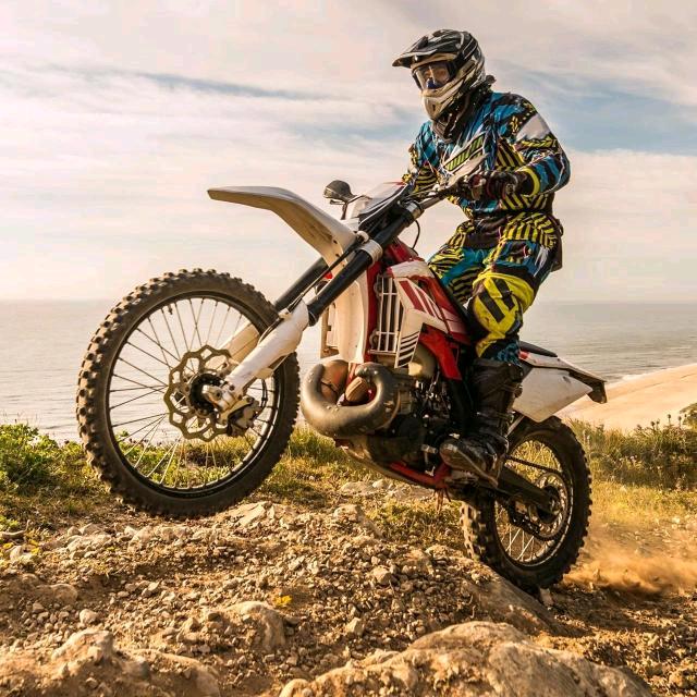 🥦蓝色海洋🍷