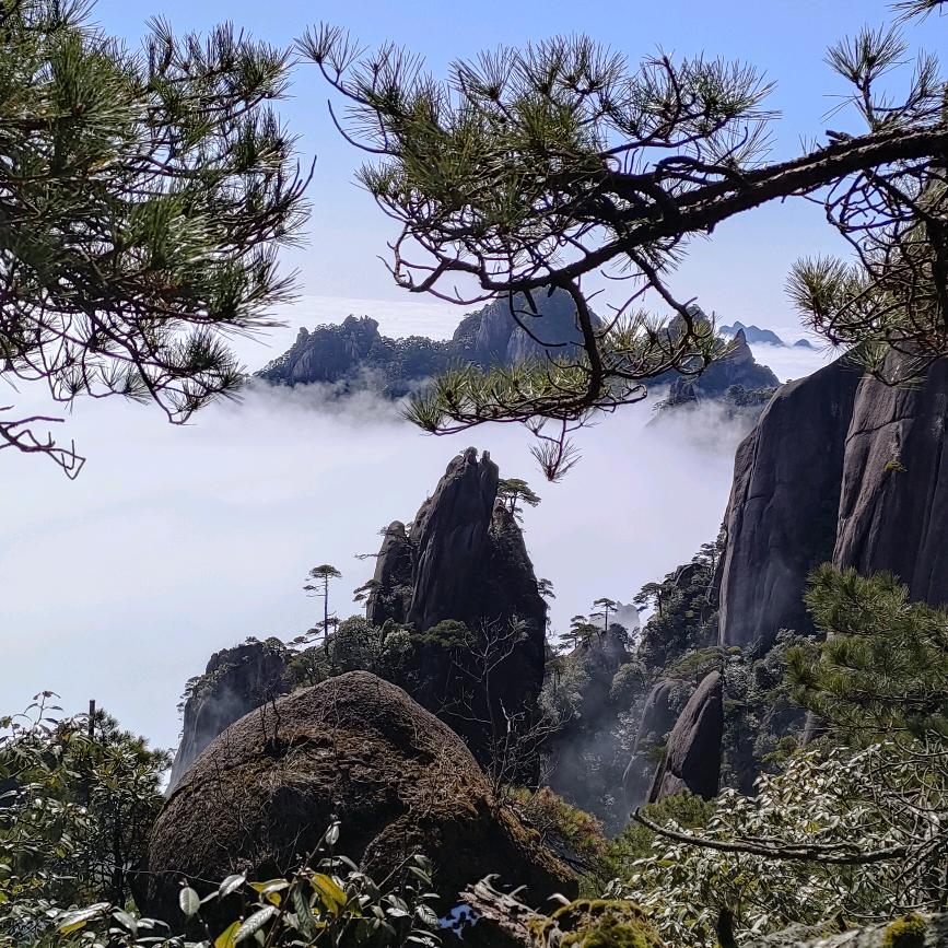 阿容