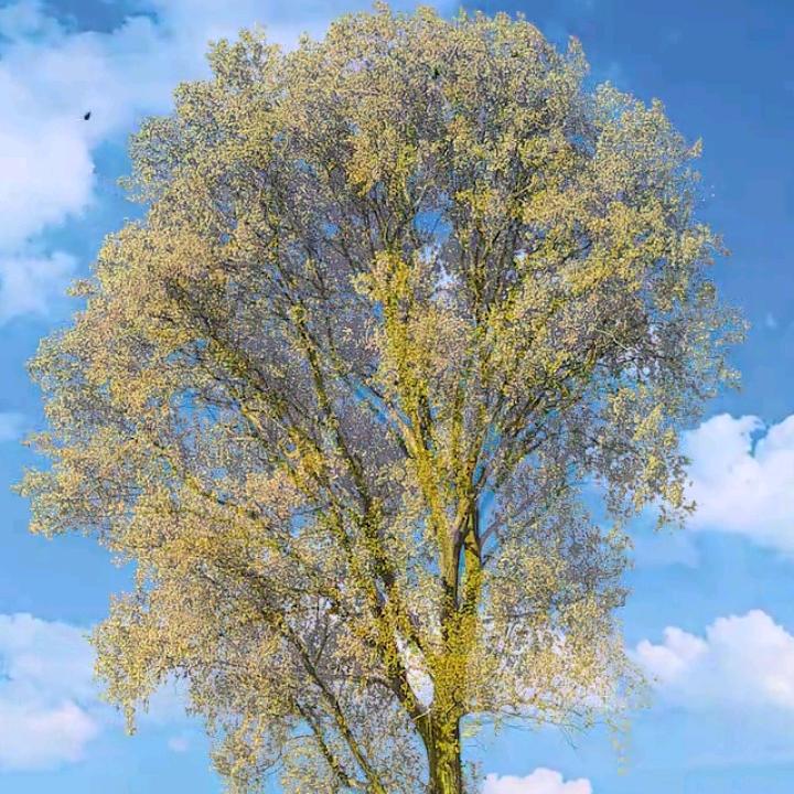 为谁幸苦为谁甜