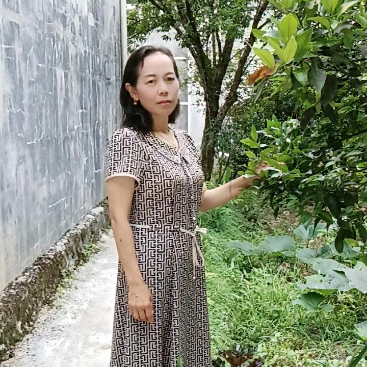 杨      ！