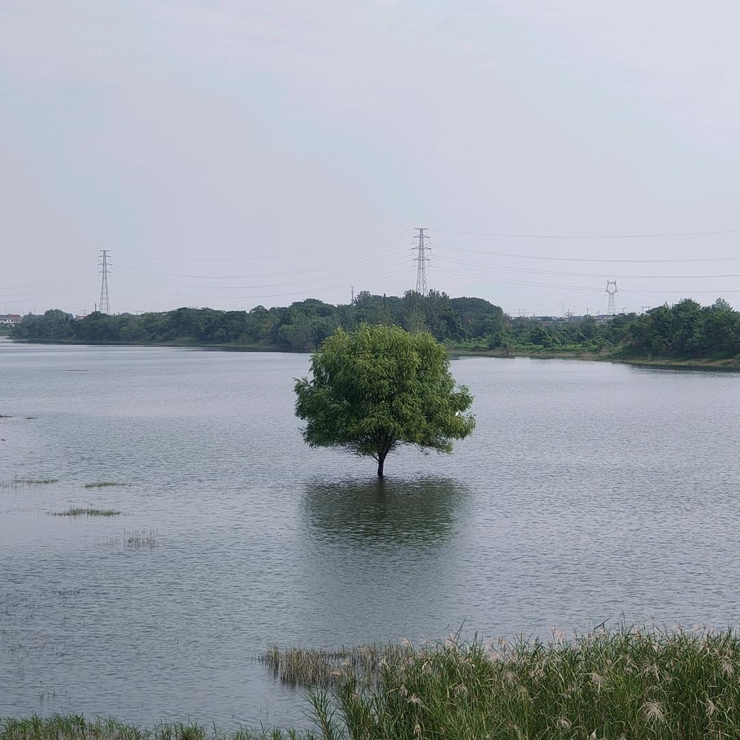听别人的故事想自己人生