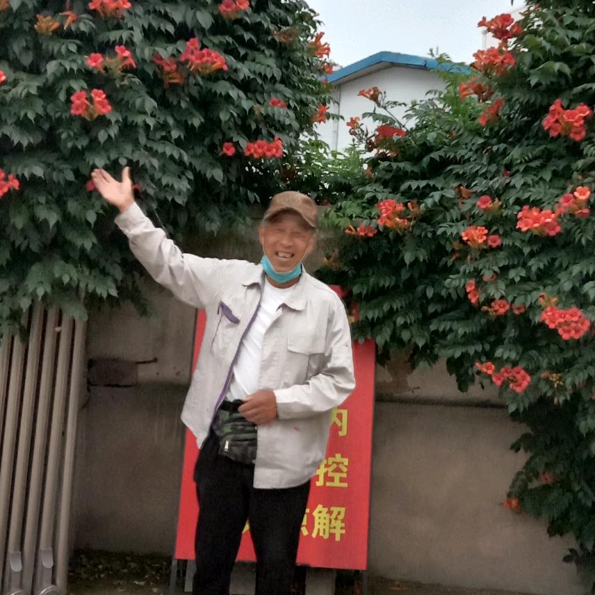 歌手老王