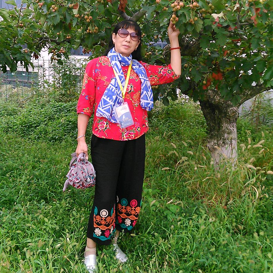 老李子