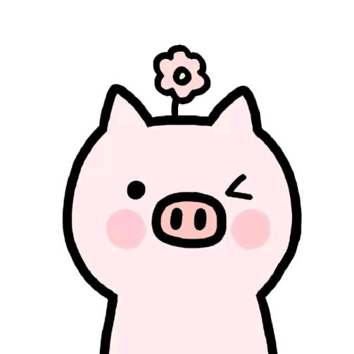 旺财猪猪🐷
