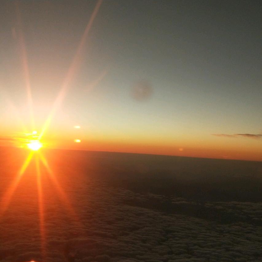 星月同存