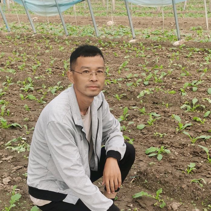 沙窝斌子农产品