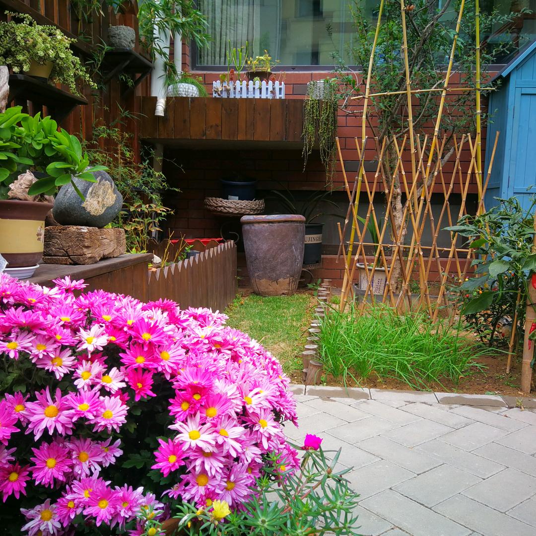 花谢花又开
