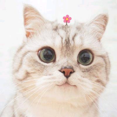 彭于晏.