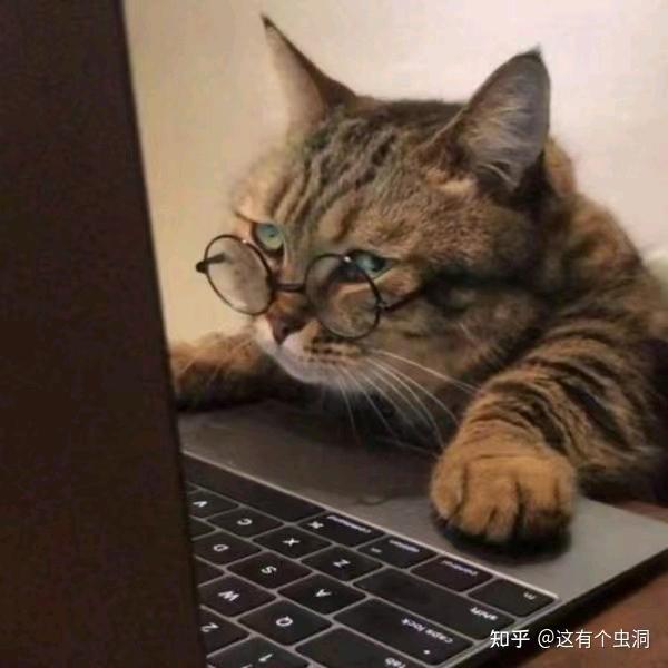 往后余生，🎼