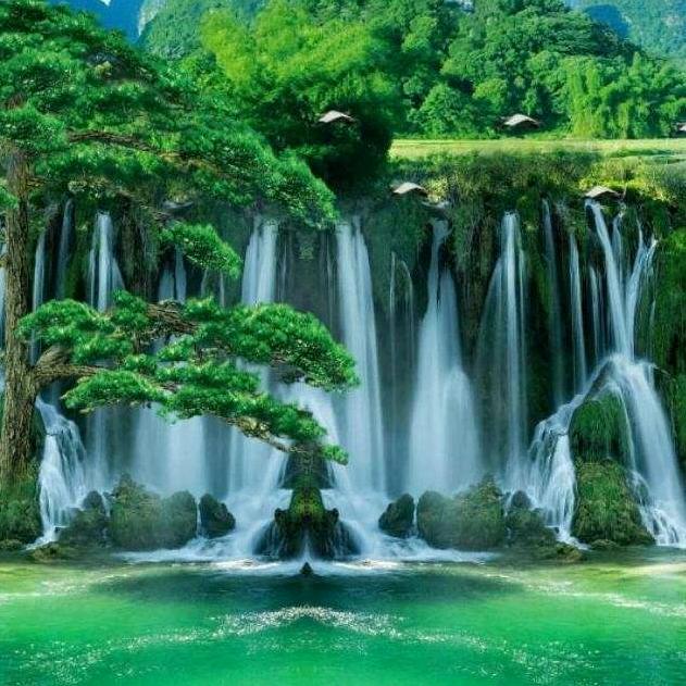 郑立闯