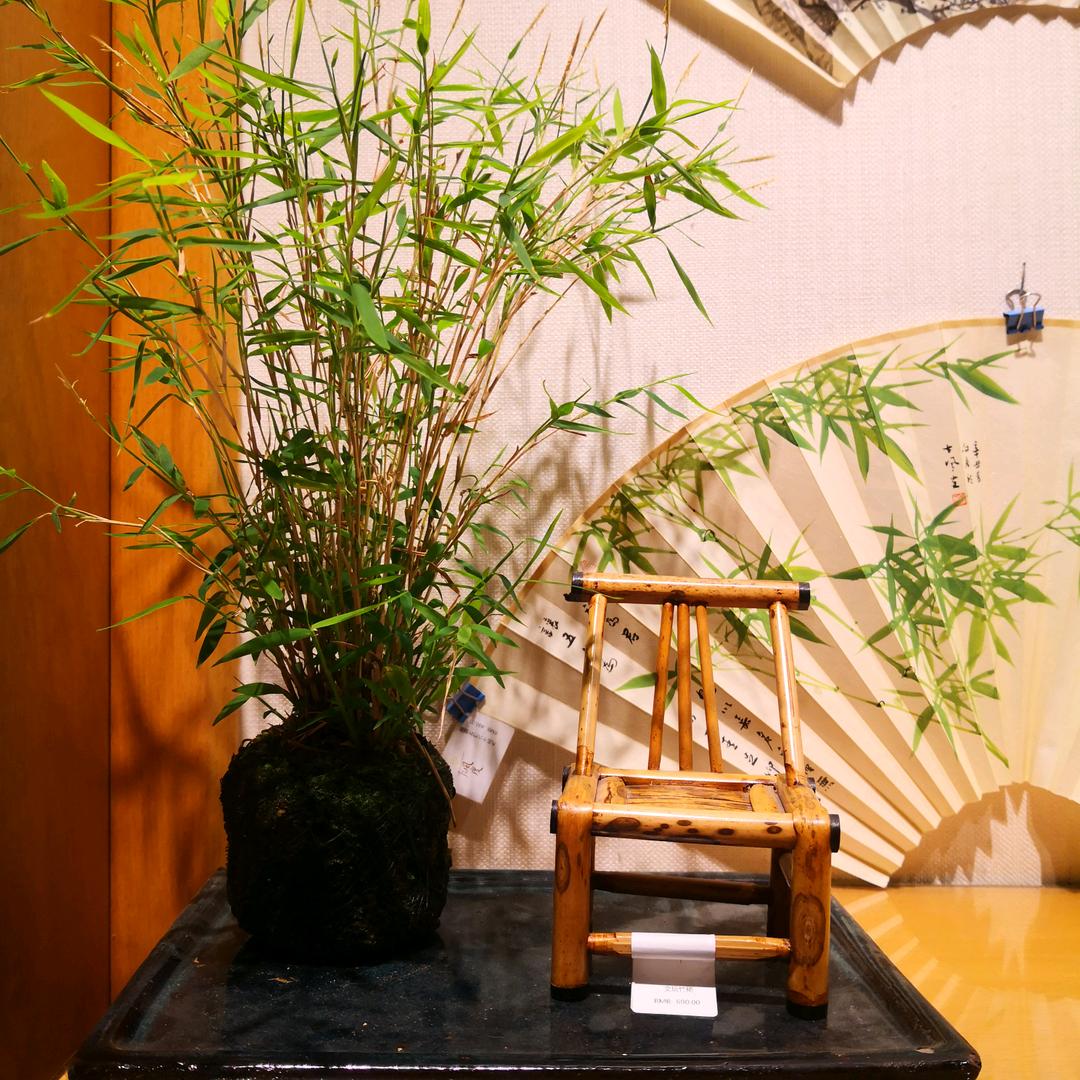 绿叶超市002979店