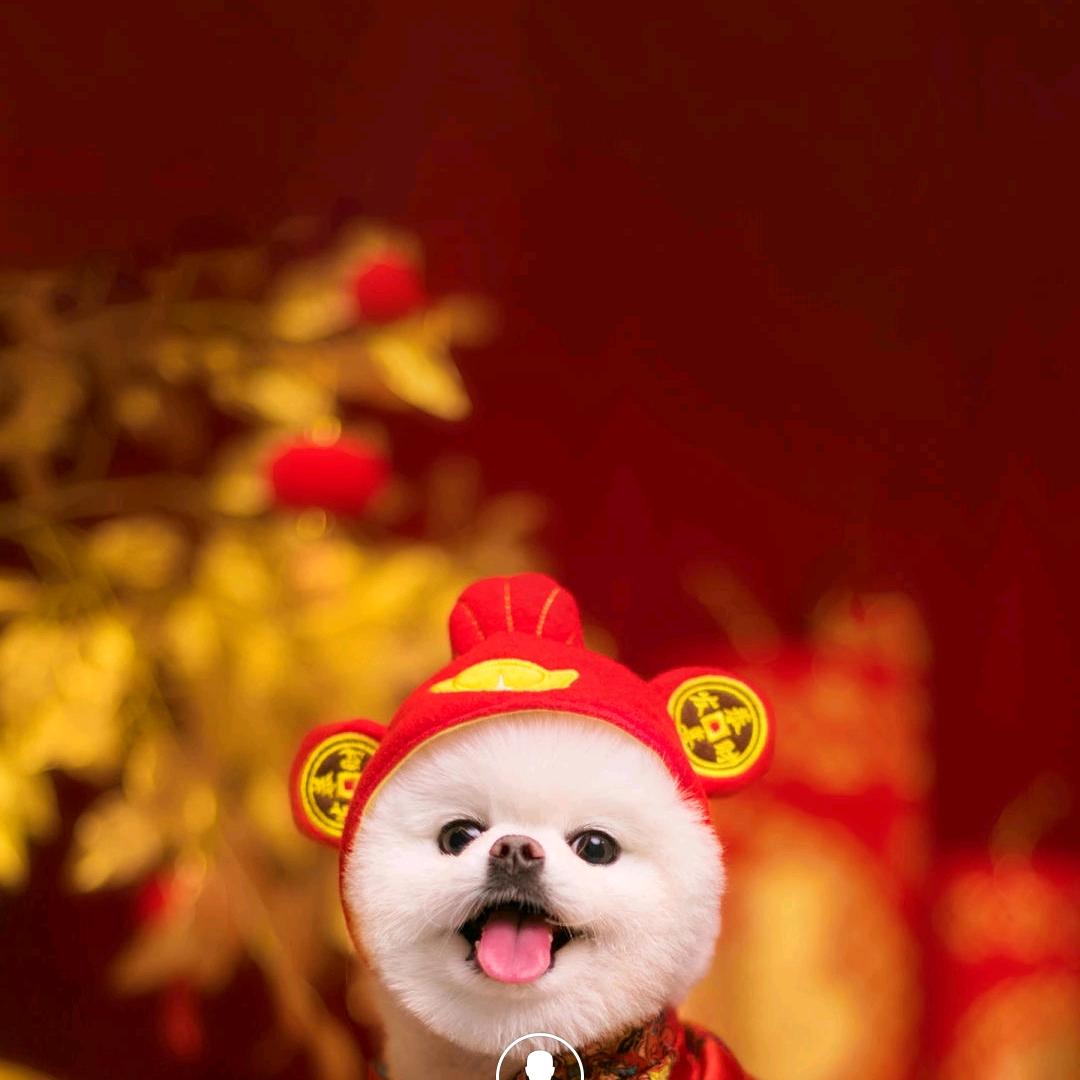 用户1239194057392发哥