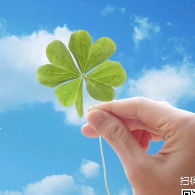 她想去看海