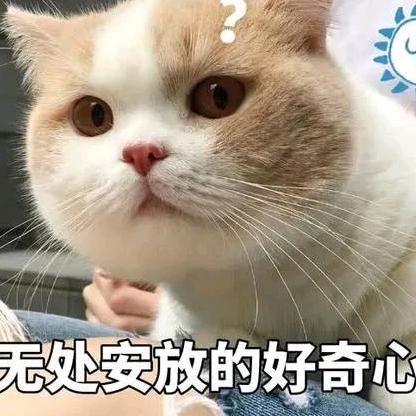 你猜猜你