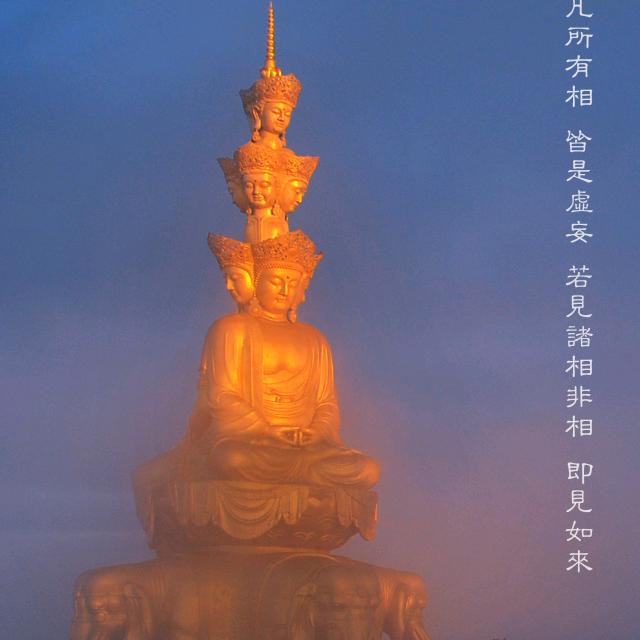 忍者神龟