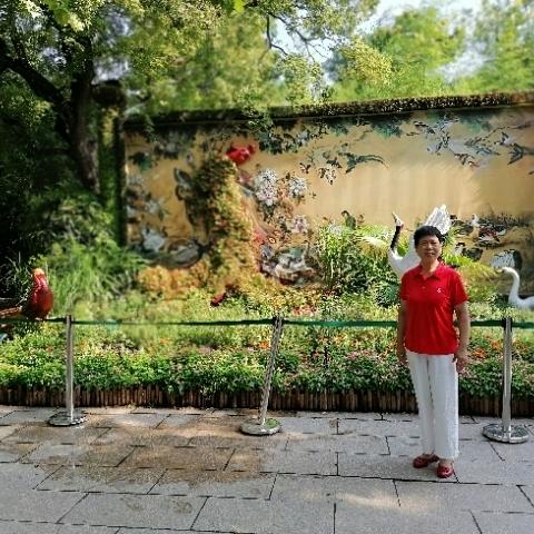 快乐老妈