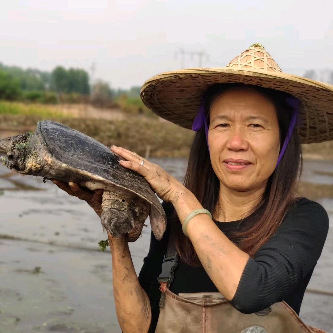 富甲珍姐农特甄选