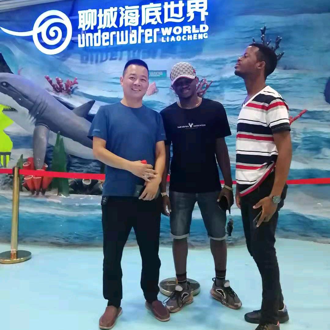 武安煤炭网